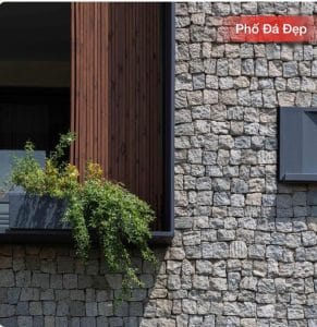 da cubic op tuong dWG9zo 2 da-cubic-op-tuong