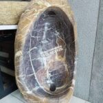 Bồn Tiểu Nam Đá Tự Nhiên