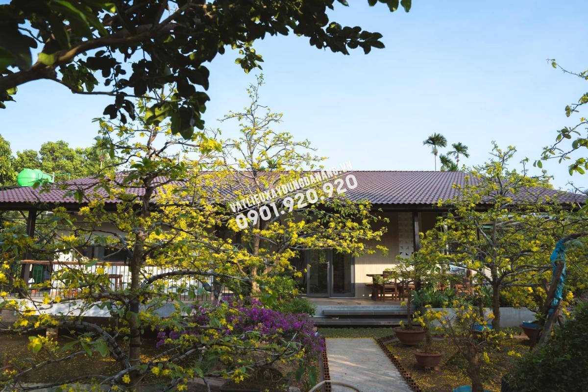 Lối dẫn vào nhà đầy hoa