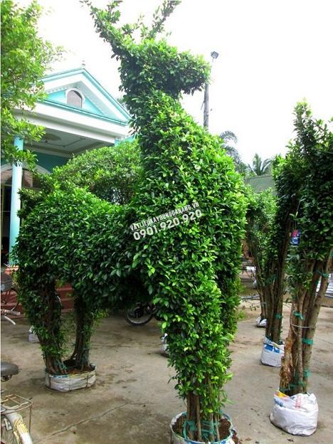 Bài trí biểu tượng con dê cho tết Ất Mùi 2015