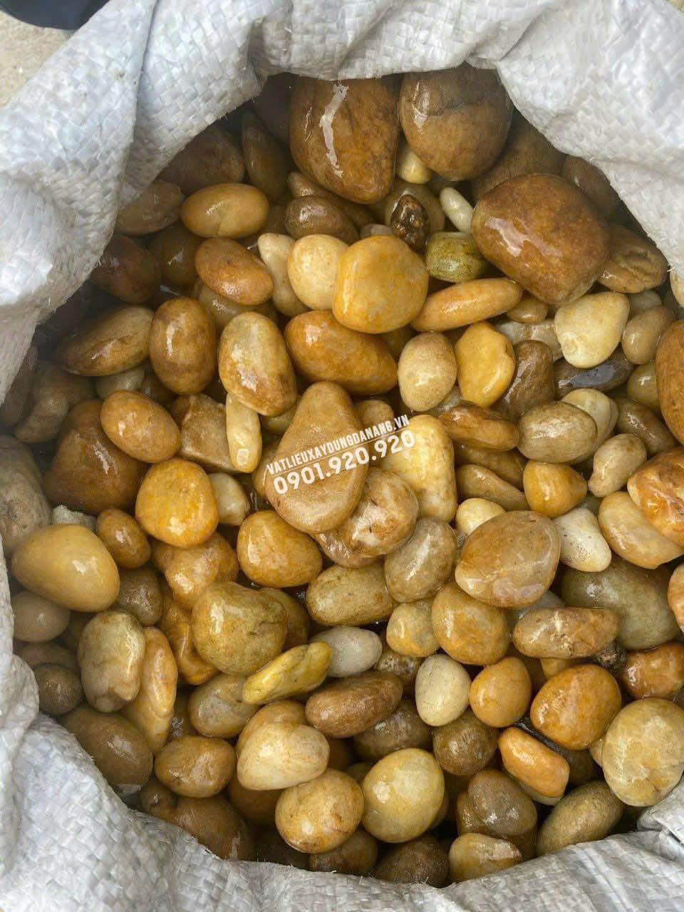Sỏi vàng rải sân vườn
