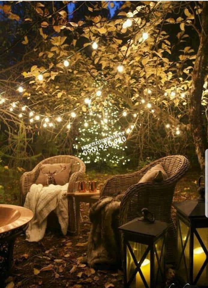 SỰ KẾT HỢP HOÀN HẢO GIỮA CÂY XANH VÀ ĐÈN VÀNG