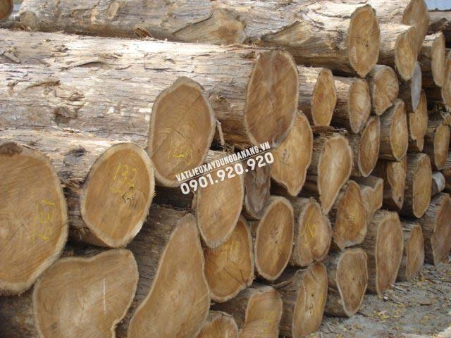 ỨNG DỤNG CỦA CÁC VẬT LIỆU CÓ ĐỘ BỀN CAO TRONG TRANG TRÍ NỘI VÀ NGOẠI THẤT