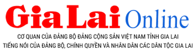 logo bao gia lai UMmtTq