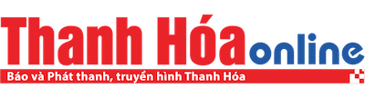 logo bao thanh hoa TonYSL